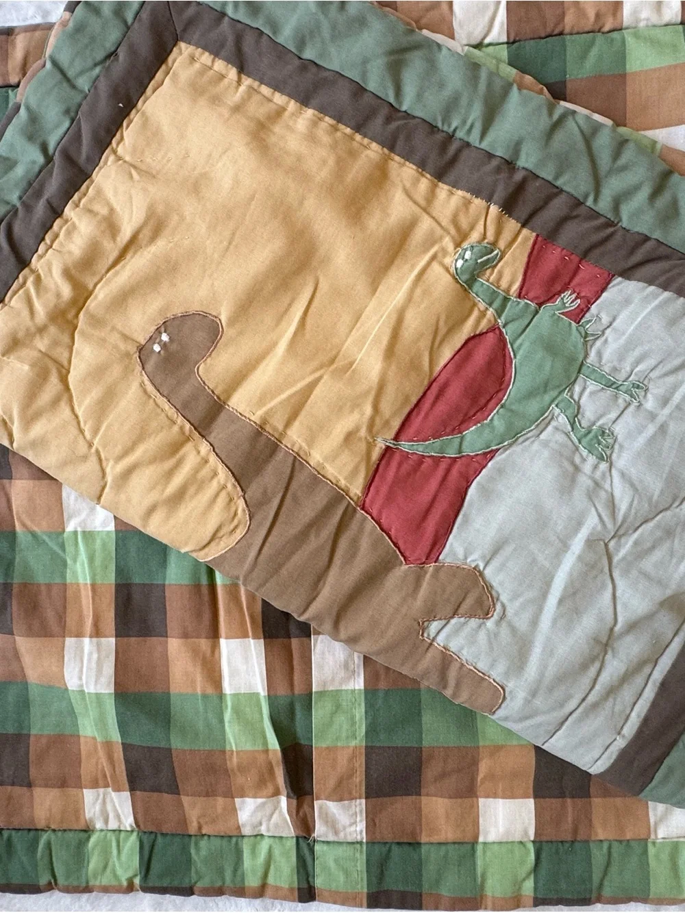 Dinosaurs Embroidered Pillow Shams